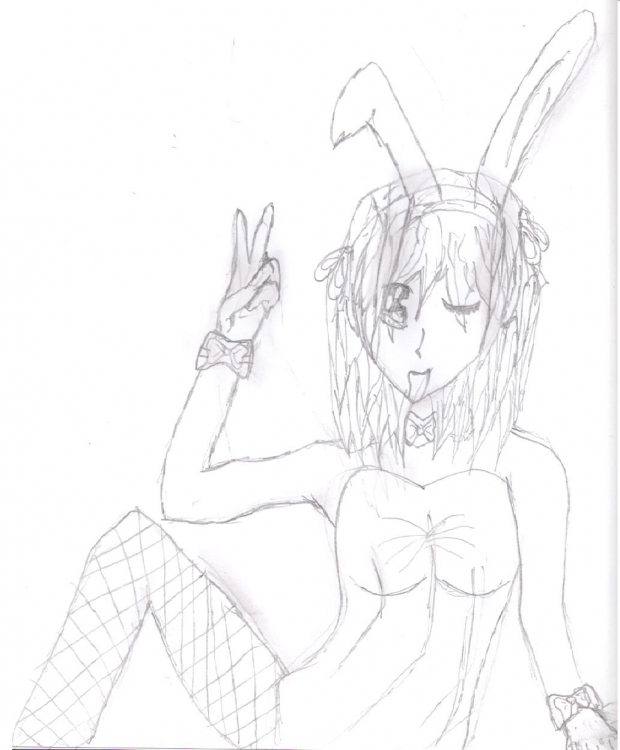 Bunny Girl Haruhi