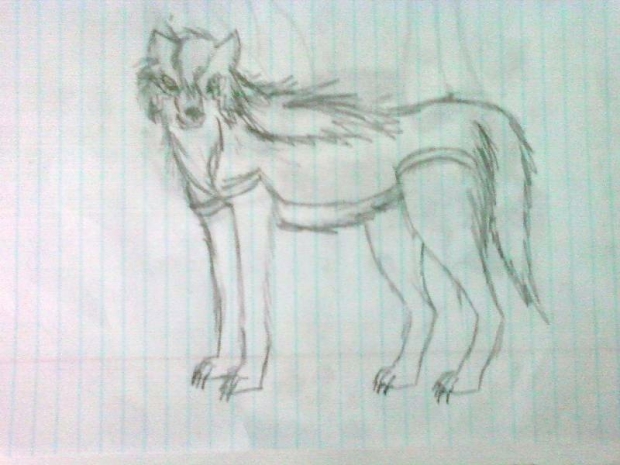 Wolf Sketch #1
