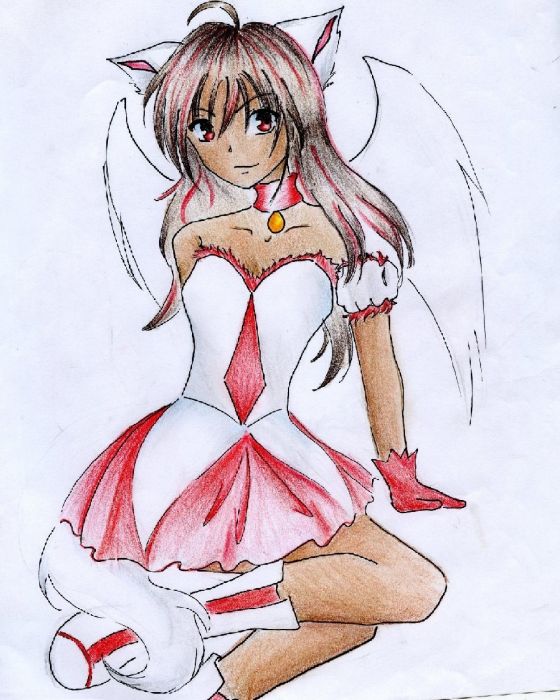 Tmmchica Contest Entry