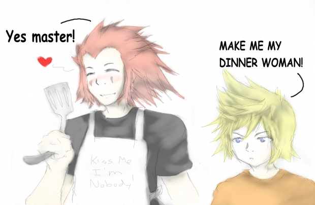 Axel and Roxas' Regular Evening