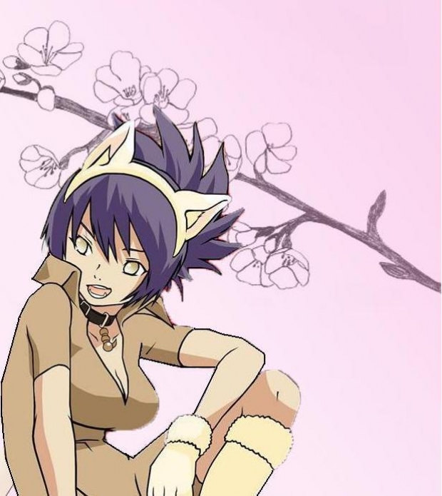 Wolf Anko