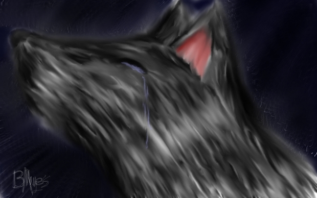 A Wolf Tear