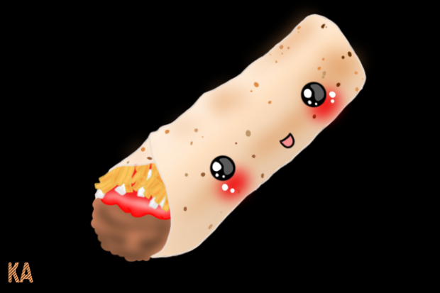 Kawaii Burrito