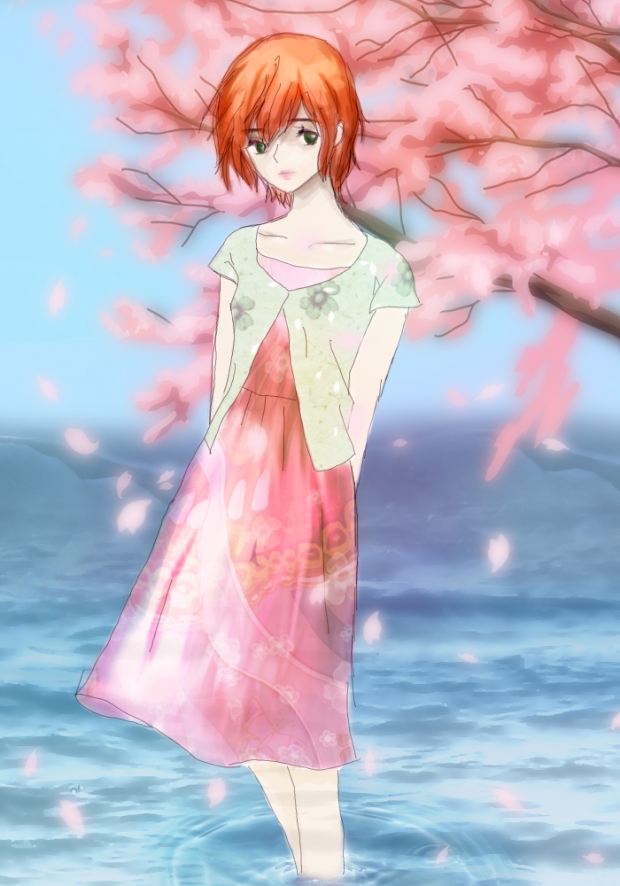Sakura blooming