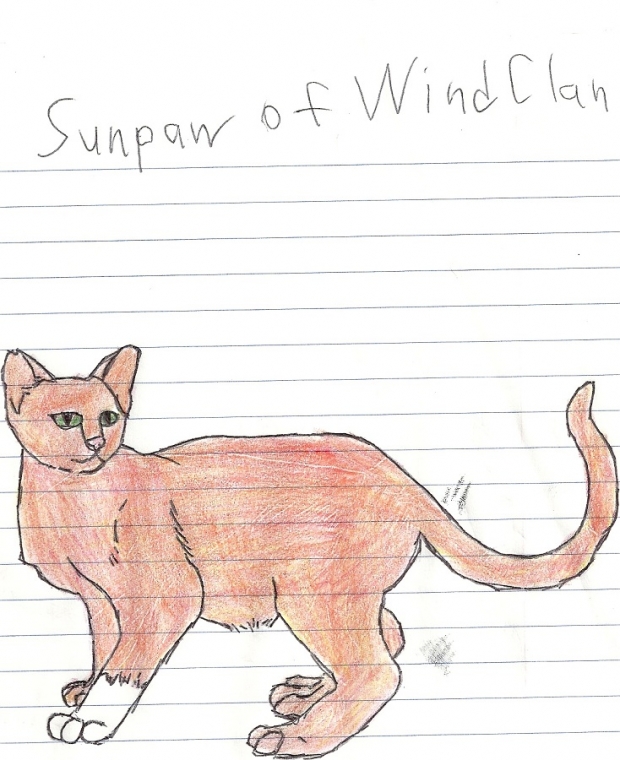 Sunpaw of Windclan