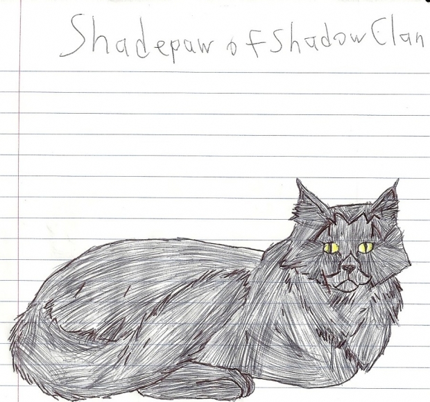 Shadepaw of Shadowclan