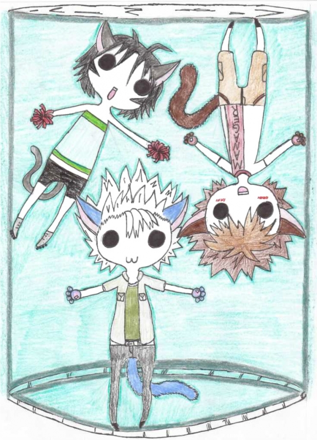 Riku, Sena and Suzuna [chibi neko]