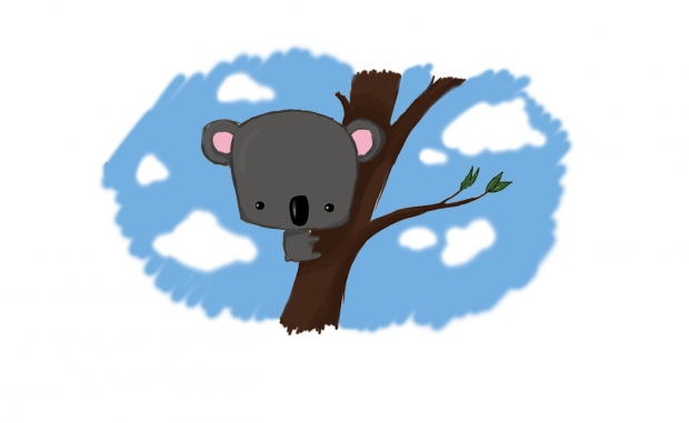 koala