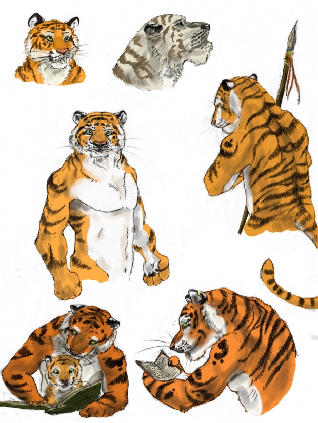 Tiger Clan