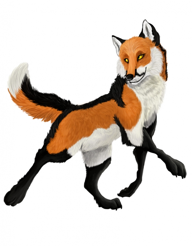 Fox