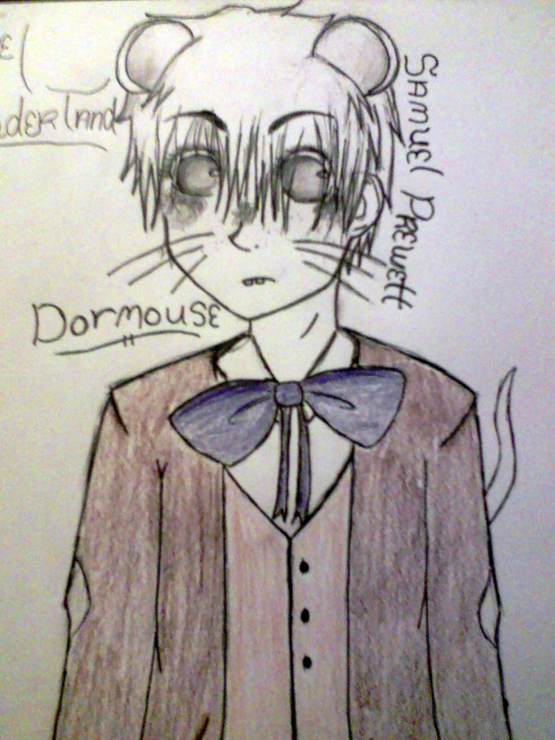 Samuel - Dormouse