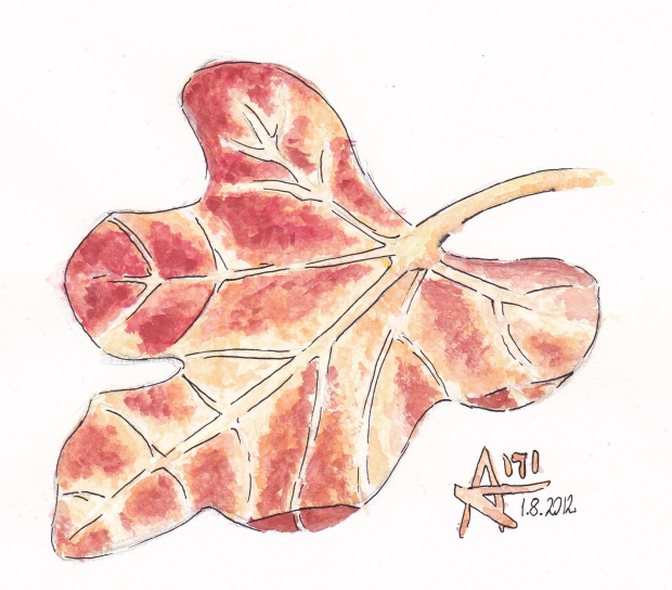 . tree without a trunk and rest of the leaves