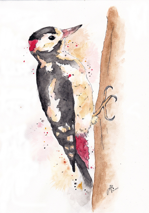 . woodpecker
