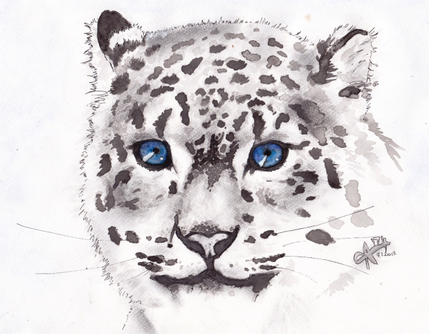 .snow leopard