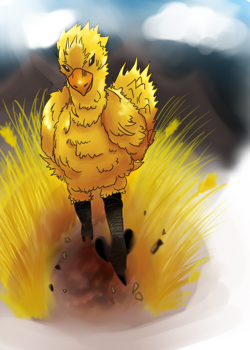Chocobo