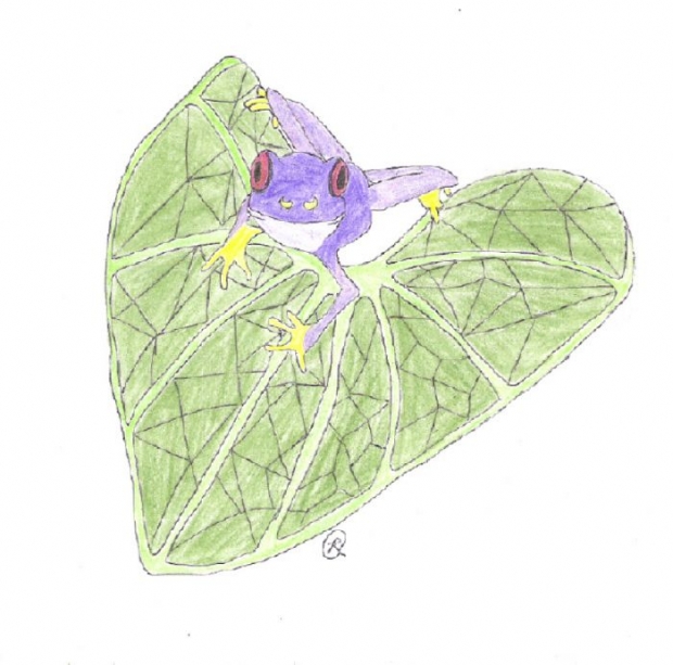 Zeds Froggy (request)