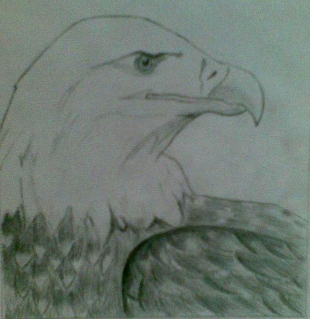 Eagle