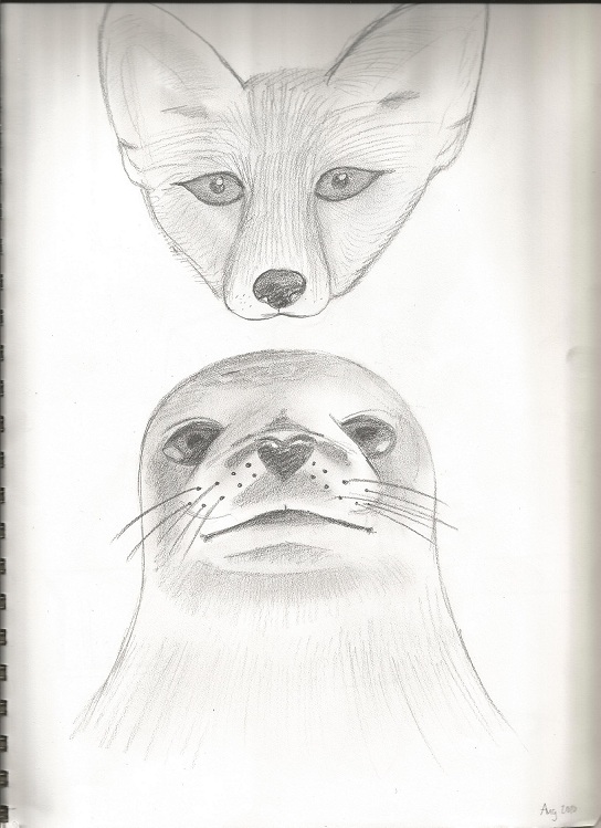 fox and seal