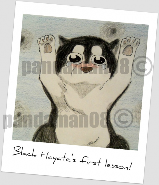 Panquest #5: "Black Hayate's First Lesson"