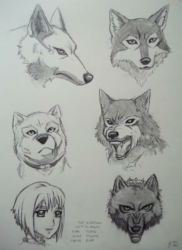 Wolf's Rain Characters-Wolf Form