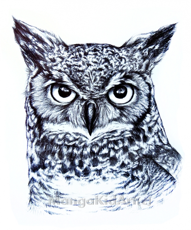 Owl-Only Pen