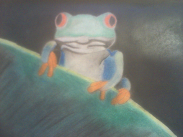 My froggie!
