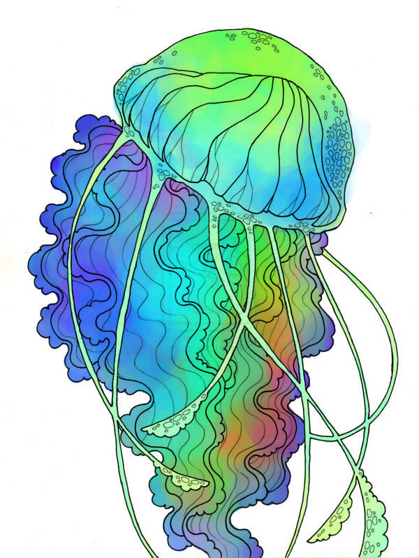 Rainbow jellyfish