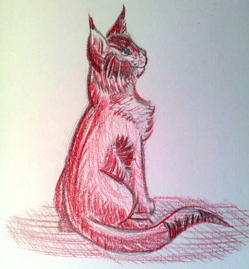 Caracal Cat
