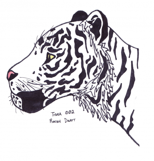 Tiger (B/W Draft)