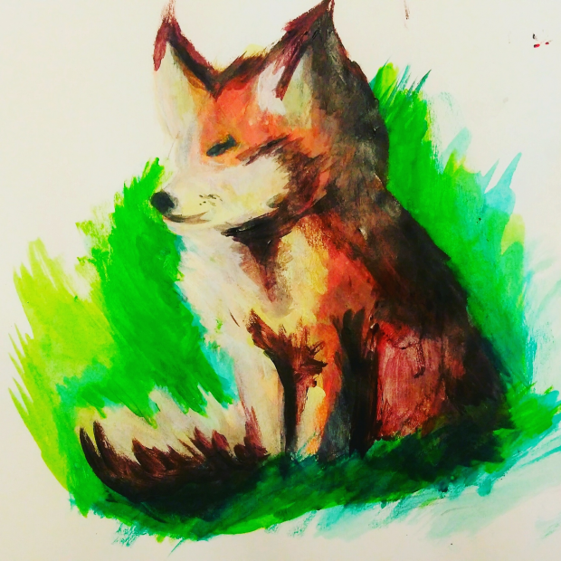 Smol fox