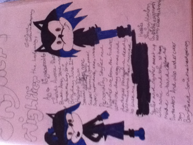Skylier and Nightler the hedgehogs