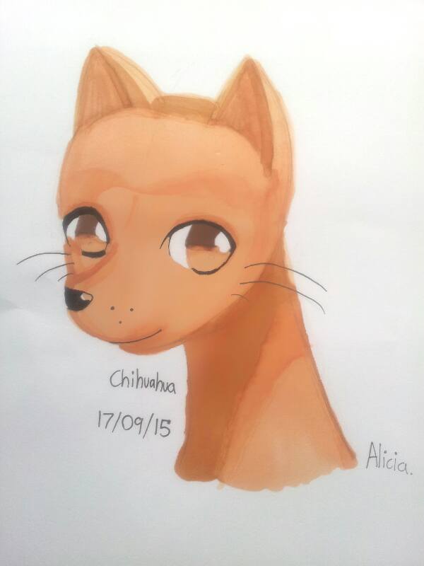 Chihuahua in Anime style (Copic Marker)