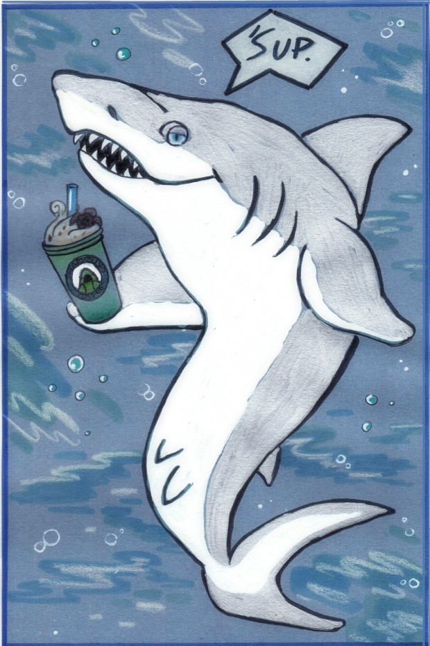 Sharkbucks (versione 1)