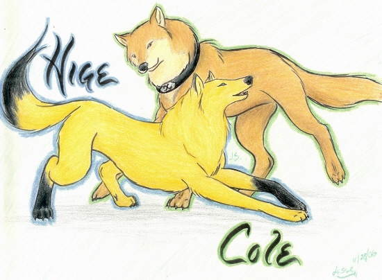 Request For Cole24941