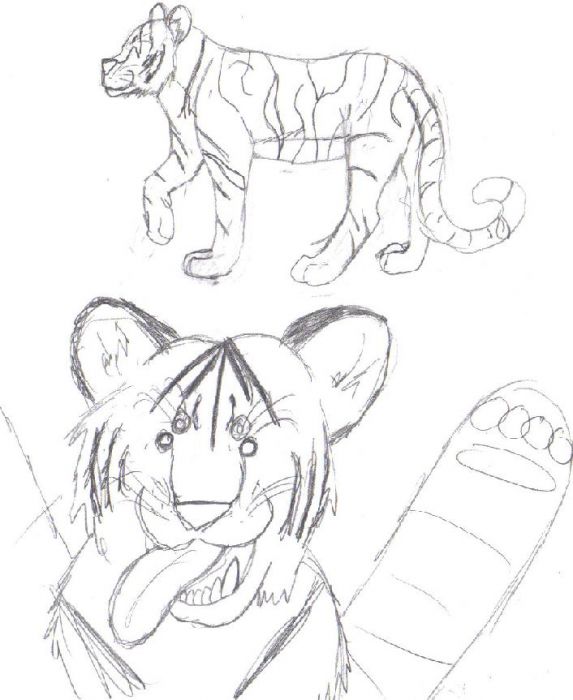 Tiger Doodles