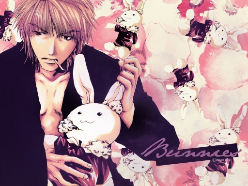 Sanzo - Bunnies
