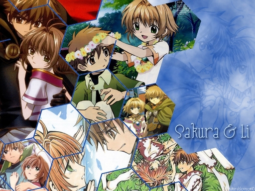 Sakura&li