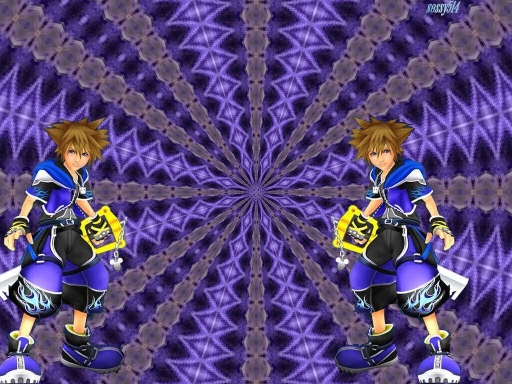 Sora-wisdom Form