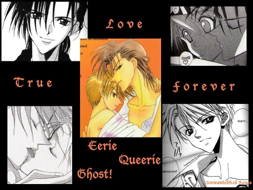Eerie Queerie - True Love Fore