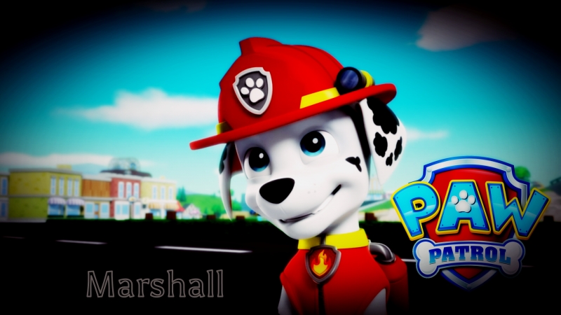 Paw Patrol - Marshall