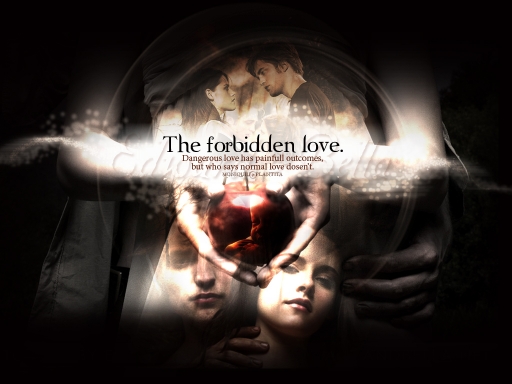 The forbidden love