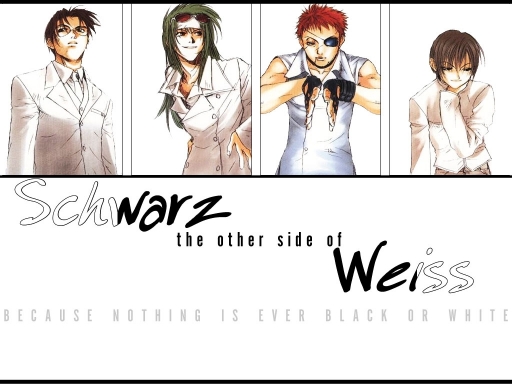 Schwarz: The Other Side Of Wei