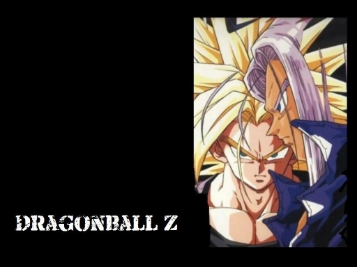 Dragonball Z: Version Future T