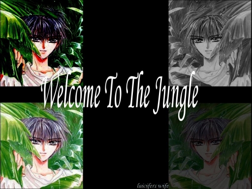 Welcome To ThE Jungle
