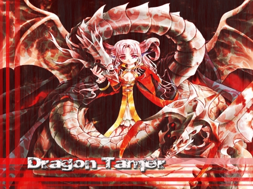 dragon tamer 2.0