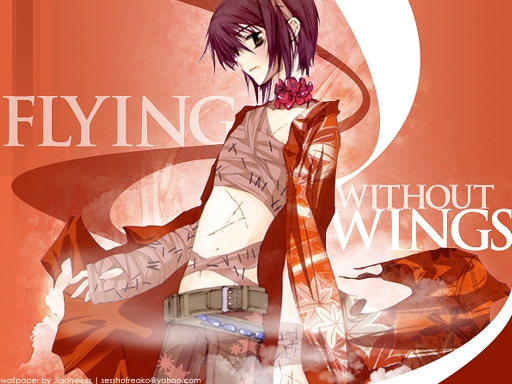 Flying Without Wings