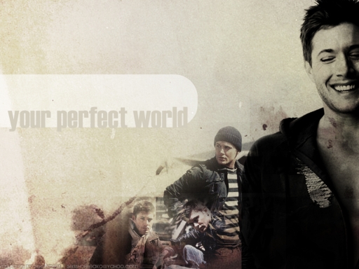 Your Perfect World