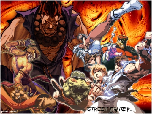 Warriors Of Street Fighter