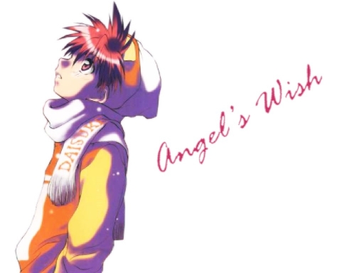 Angel's Wish