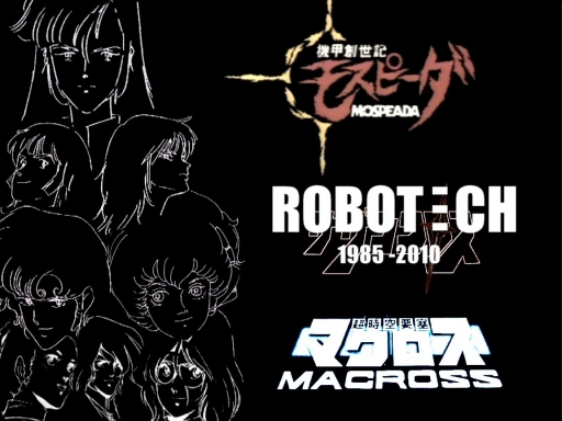 Robotech History 2